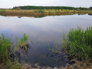 Каменка, Добропольский р-н, Донецкая обл. Заказник «Заплава реки Бык»