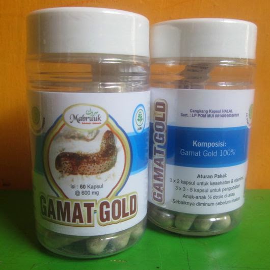 manfaat dan khasiat kapsul gambat Gold Mabruuk
