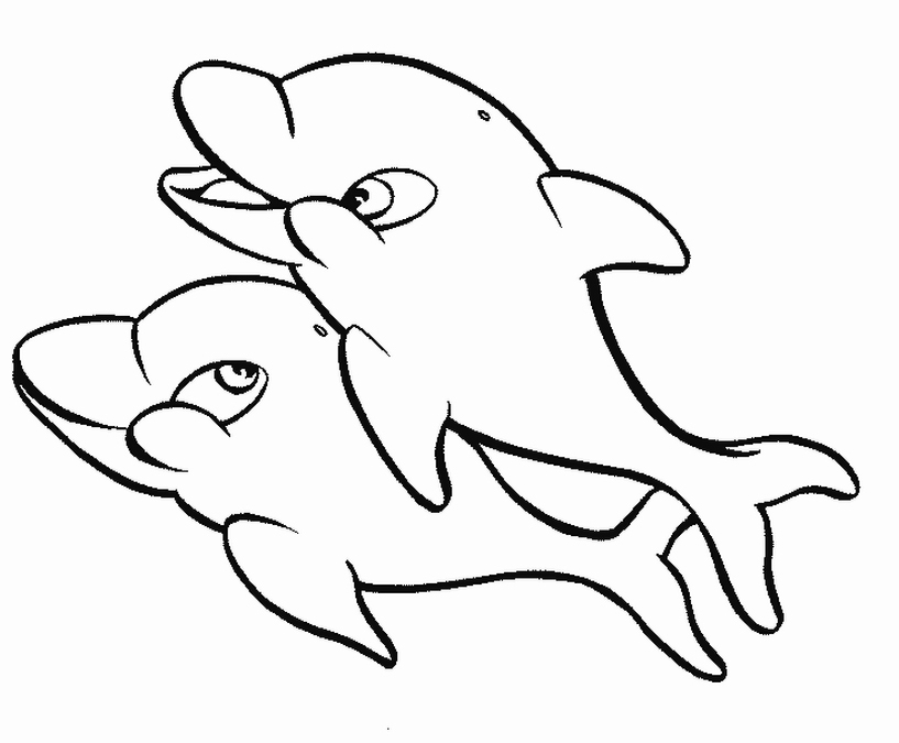 Dolphin Coloring Sheet 4