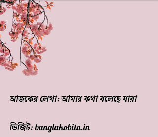 Bangla Kobita-Amar Kotha Bolche Jara