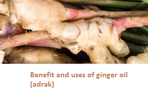 Benefit and uses of ginger oil (adrak)