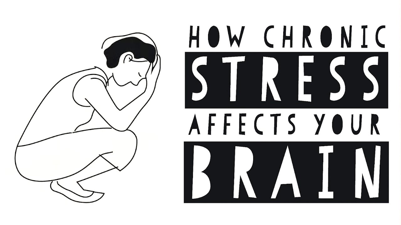 Effects Of Too Much Stress