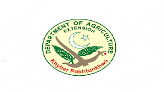 Agricultural Research Department KPK  Jobs 2021 in Pakistan