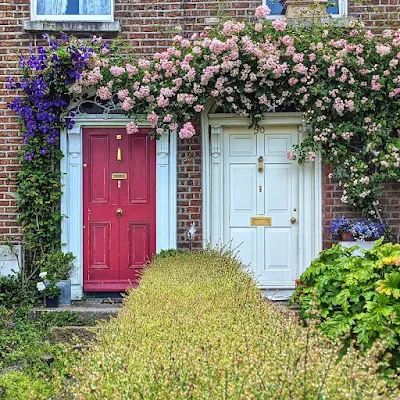 Red and white doors surrounded by flowers in Dublin in July