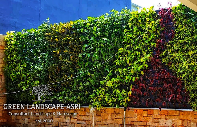 Vertical Garden