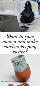 Chickens cheap and easy