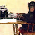 Monkeys With Their Brains Can Now Type Shakespeare Works