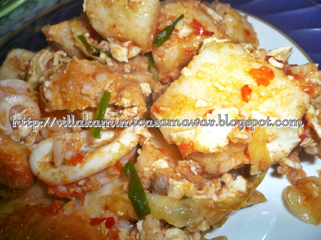 Villakamimicasamawar: Lontong Goreng