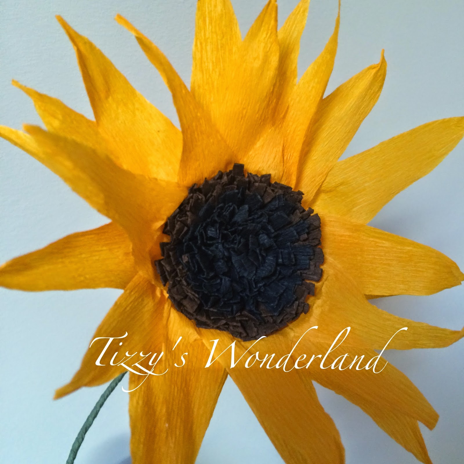 Tizzys Wonderland Tutorial Fiori Di Carta Crespa