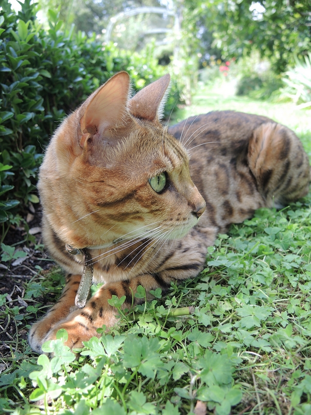 Metz: de botanische tuin - 2: de dieren