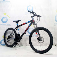 24 evergreen ranger junior mountain bike