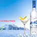 From Pricetag to Pour: Exploring Grey Goose Vodka Price Variations