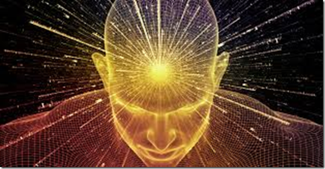 suninbrain