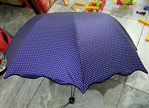 polka dot umbrella