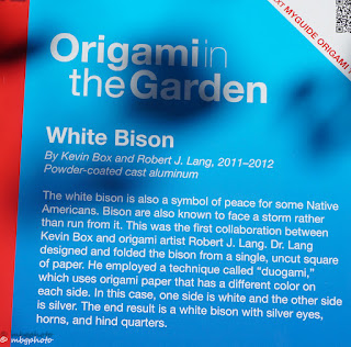 White Bison origami information photo by mbgphoto