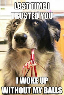 Dog Humor : I will never Trust You Again