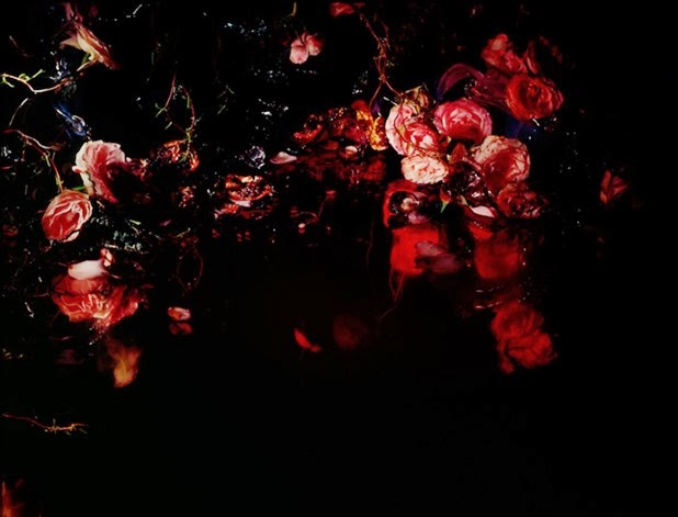 margriet smulders 6