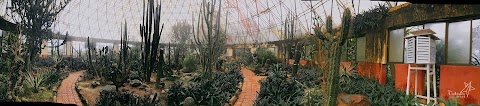 Cactus Garden - Highlight of Ba Vi national park