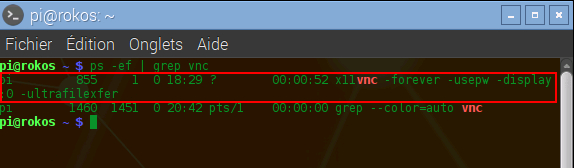 Processus VNC sur le raspberry