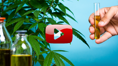 Why CBD doesn’t work and what to do instead