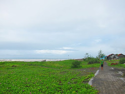 Pantai Pasir Puncu Purworejo