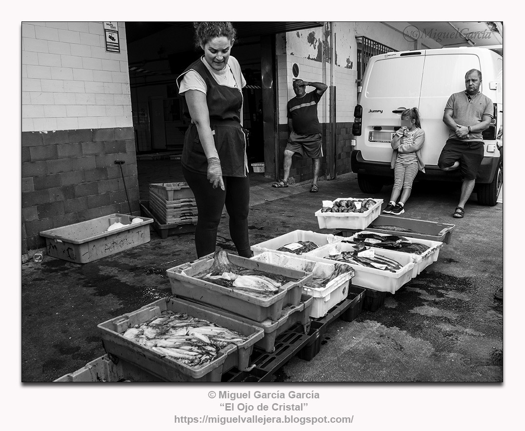 Peixe fresco no Porto de Malpica de Bergantiños