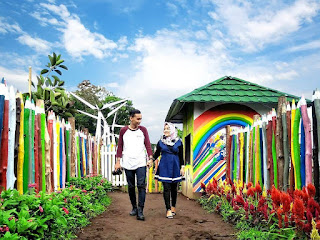 Wisata Hits Taman Bunga Celosia Bandungan