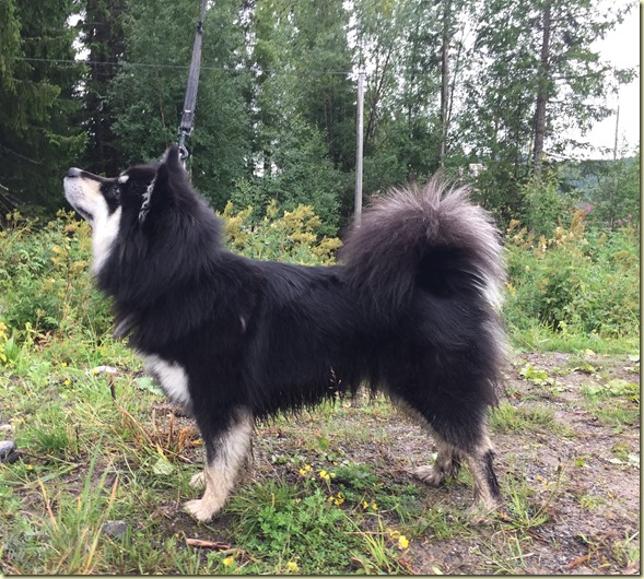 1708 Cajsa på utst exc