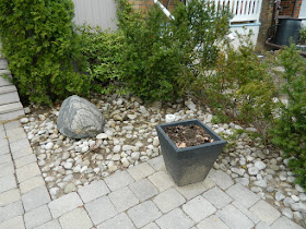 Mount Pleasant East Davisville Front Garden Spring Cleanup After by Paul Jung Gardening Services a Toronto Gardening Company