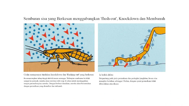 Cislin-25-EC-dan-Fungsinya-untuk-Mengawal-Serangga-Perosak