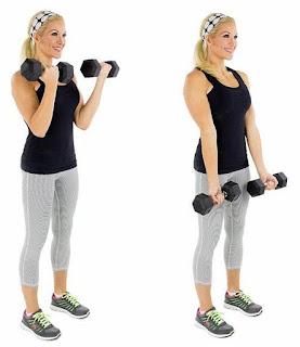 Biceps Barbell Position Practice Individual Exercises