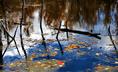 Imágenes del Agua, H2O, Water , L'eau