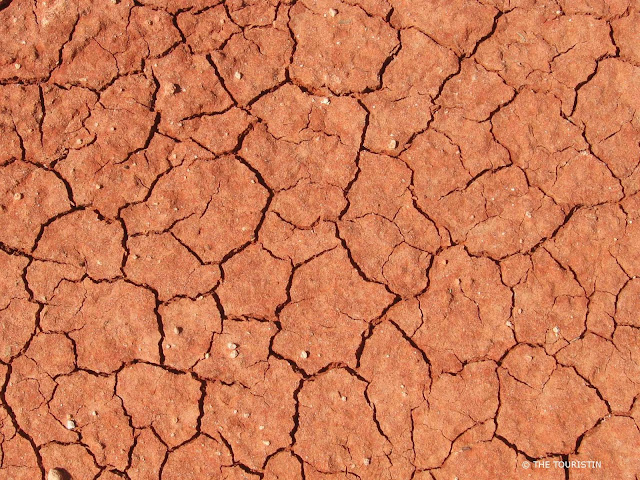 Dried out red earth with hundreds of cracks running through it like a landscape.