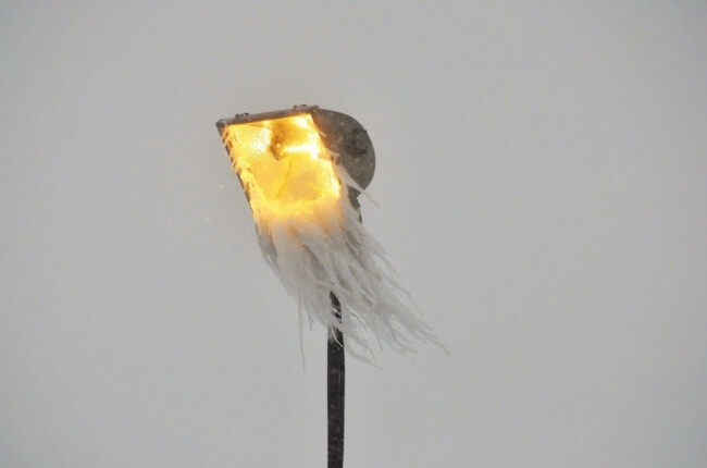 18 Extraordinary Pictures: Filters Fade in Front of Nature’s Magnificence - A bearded streetlight
