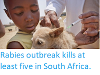 http://sciencythoughts.blogspot.co.uk/2018/03/rabies-outbreak-kills-at-least-five-in.html