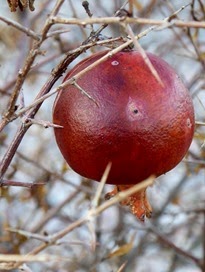 P1000077