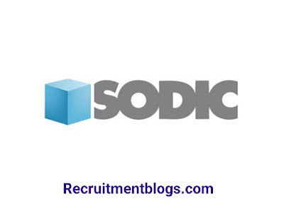 Junior Budgeting and Reporting Analyst At SODIC Egypt