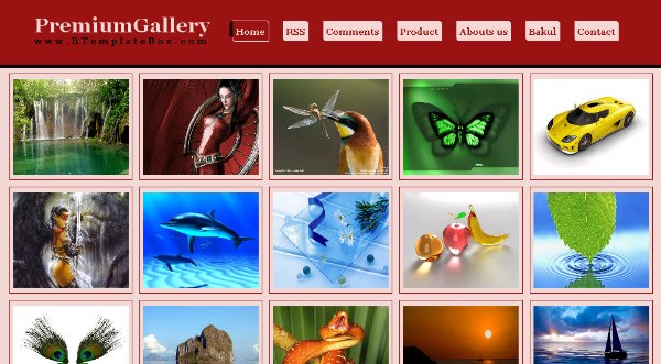 Premium Blogspot Gallery Theme