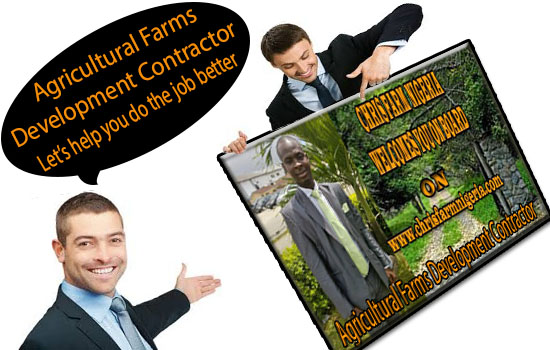 Cocoa Business Plans / Feasibility Report / Project for loan/Grant/ Investment Guide 