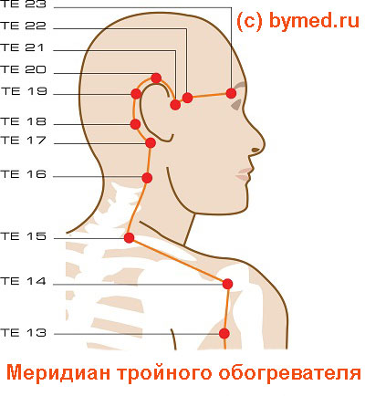 Меридиан тройного обогревателя