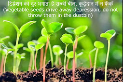 डिप्रेशन को दूर भगाता है सब्जी बीज, कूड़ेदान में न फेंकें (Vegetable seeds drive away depression, do not throw them in the dustbin)