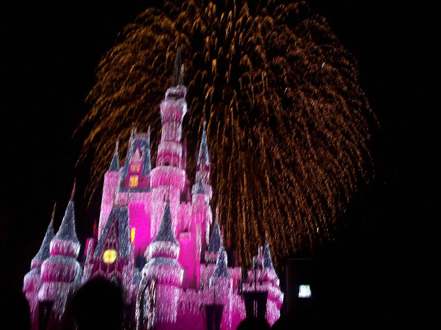 Dream Lights Cinderella Castle Walt Disney World