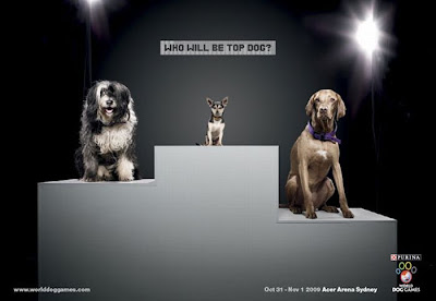 Creative ads with dogs www.coolpicturegallery.net