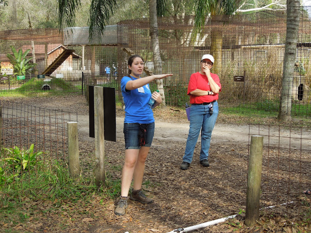 Big Cat Rescue tour guide