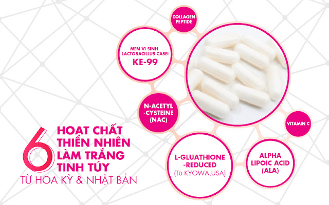 Thành phần trong thuốc uống làm đẹp da Probio White