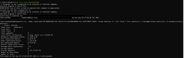 Hadoop fsck