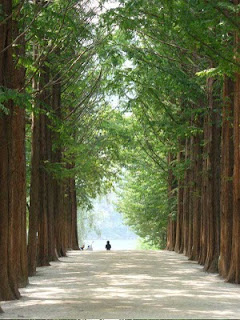 nami island