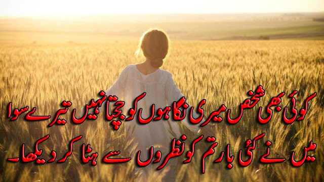 Urdu Poetry Love