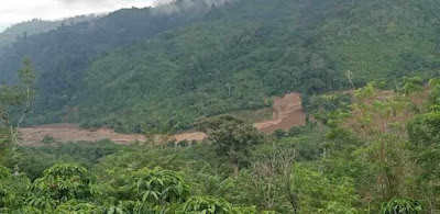 Ancaman Longsor di Hutan Lindung Daerah Perkebunan Bedeng Melati dan Sungai Itam: Warga untuk Waspada dan Perhatian Pemerintah