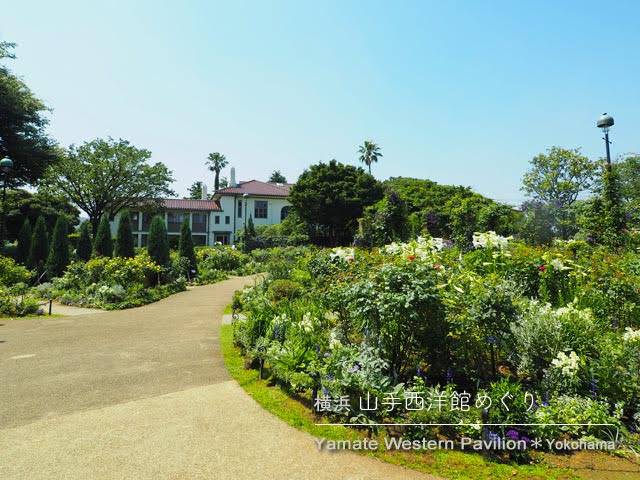 港の見える丘公園 イングリッシュローズの庭